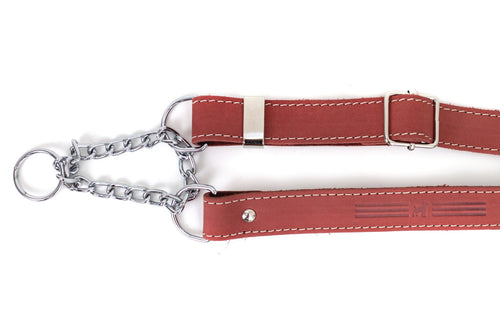 Martingale Coral Reef Leather Dog Collar
