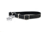 Martingale Leather Dog Collar