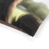 Pet Bed – Plush Dog Bed, 3 Size Options