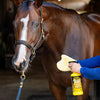 Pyranha Wipe N Spray Fly Repellent for Horses 32 oz. Long-Lasting Insect Control