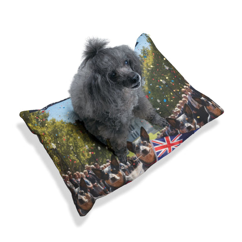 Australian Cattle Dog Pet Bed