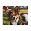 Sweatshirt Blanket – Plush Fleece Throw, 2 Size Options