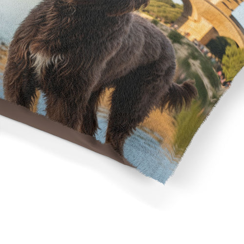 Barbet Pet Bed