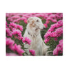 Sweatshirt Blanket – Plush Fleece Throw, 2 Size Options