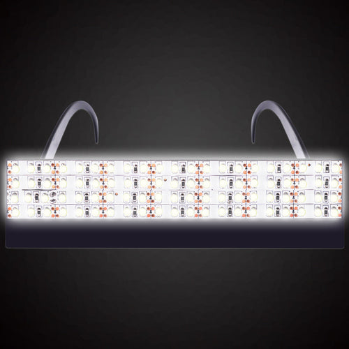 LED light emitting glasses