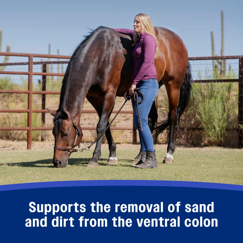 Farnam SandClear Psyllium Crumbles for Horses Digestive Support Sand Colic Risk 3lbs.