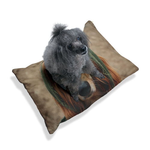 Afghan Hound Pet Bed