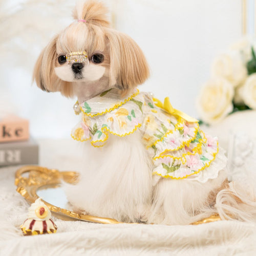 Luxury design dog dress tulip chiffon 2 colors