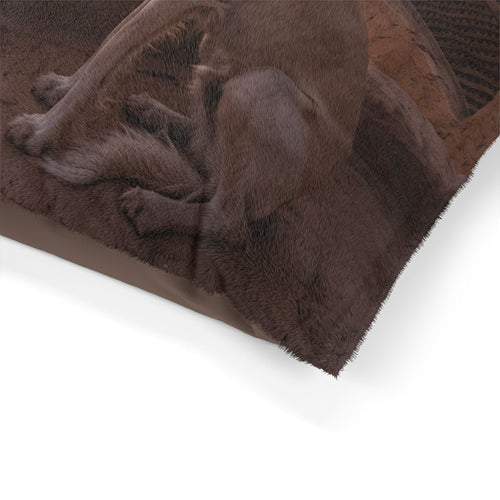 Saluki Pet Bed
