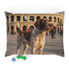 Pet Bed