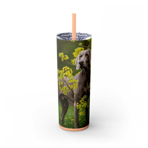 Skinny Tumbler with Straw – 20 oz Stainless Steel Cup