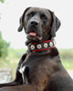 Bijou collar black & red