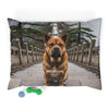 Chongqing Dog Pet Bed