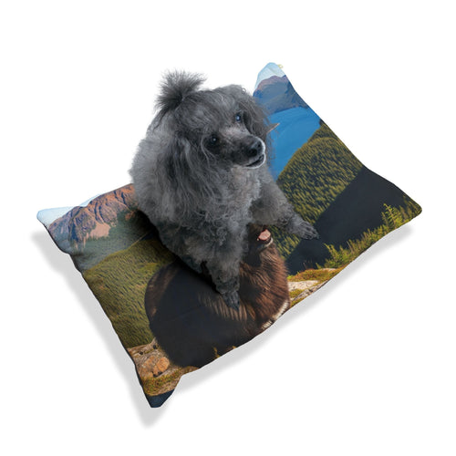 Newfoundland Pet Bed