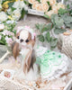 Luxury design dog Lacy Princess Puff Dress