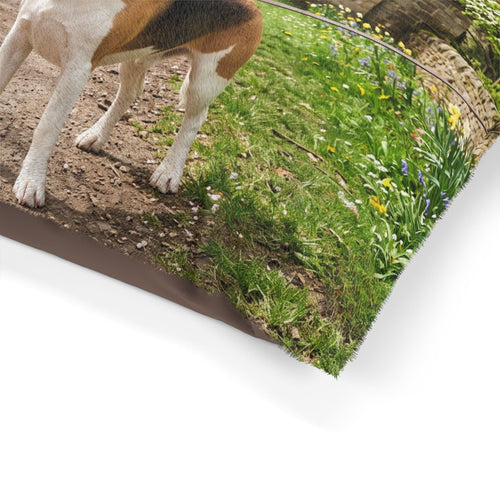 Beagle Pet Bed