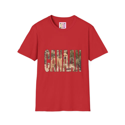 Canaan Dog Tee Shirt