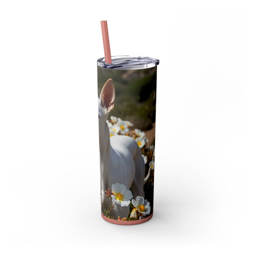 Skinny Tumbler with Straw – 20 oz Stainless Steel Cup