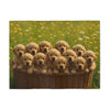 Sweatshirt Blanket – Plush Fleece Throw, 2 Size Options