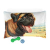 Pet Bed – Plush Dog Bed, 3 Size Options