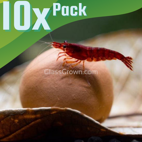 Ten Tourmaline or Maifanitum Clay Mineral Balls