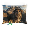 Tibetan Kyi Apso Pet Bed
