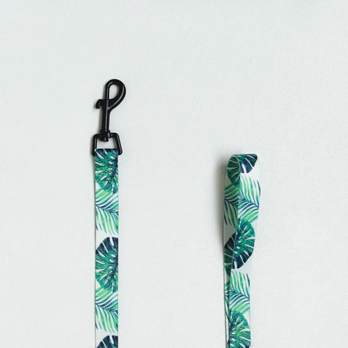 Adjustable Dog Harness and Leash Set