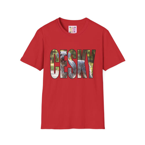 Cesky Terrier Tee Shirt