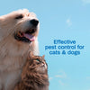 Adams Plus Flea and Tick Shampoo with Precor for Cats and Dogs Gallon