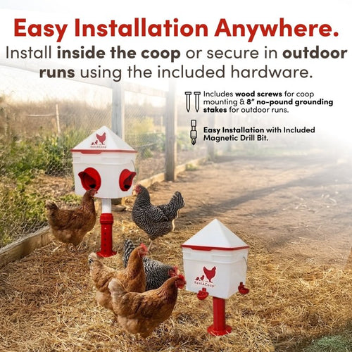 RentACoop Chick2Chicken 10lb Feeder & 2 Gal Waterer Set