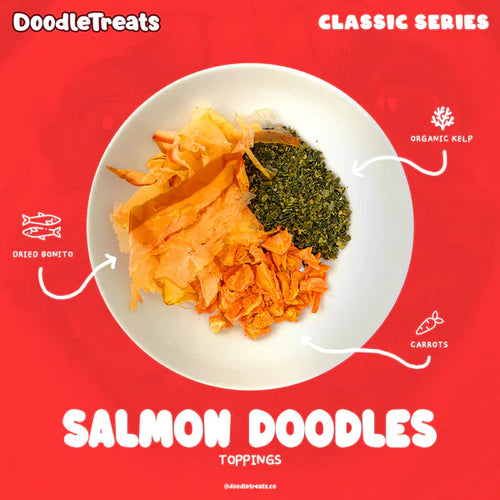 Doodle Treats Salmon Doodles for Dogs & Cats