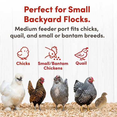 Chick2Chicken 5lb 2-Port Chicken Feeder and 1-Gal Small Cage Waterer Set
