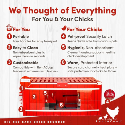 RentACoop Big Red Barn Chick Brooder