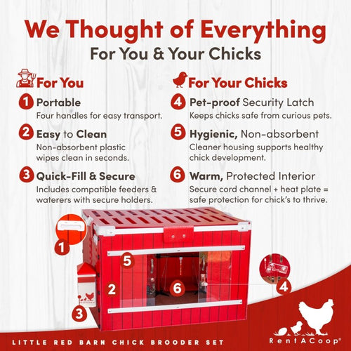 RentACoop Little Red Barn Chick Brooder Set