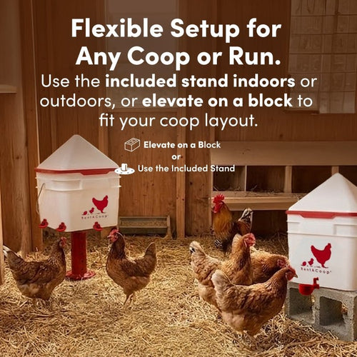 RentACoop 2 Gallon Chicken Waterer with 4 Auto-Fill Water Cups and 4 Horizontal nipples