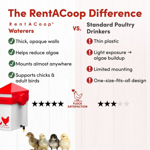 RentACoop 64oz (2L) Drinker Plus 2 Versatile Nipples