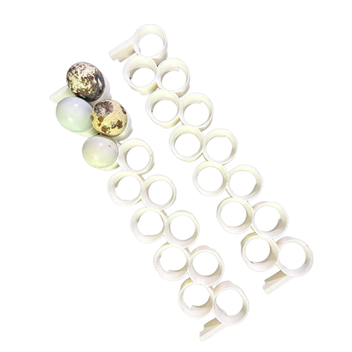 Jumbo Quail Egg Rails for Cimuka / Hatching Time CT120 – Full Set (24 Rails)