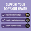 Purina Pro Plan FortiFlora Dog Probiotic – 30 Sachets | Vet-Recommended