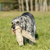 Eco-Friendly, Non-Toxic Dog Toy - Eco Rattler For Safe Play