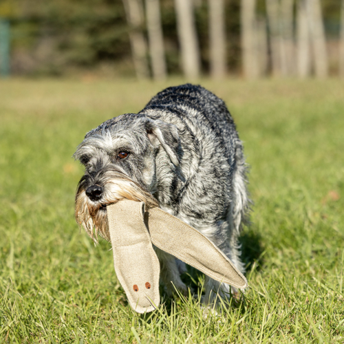 Eco-Friendly, Non-Toxic Dog Toy - Eco Rattler For Safe Play