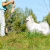 Eco-Friendly, Non-Toxic Dog Toy - Eco Rattler For Safe Play