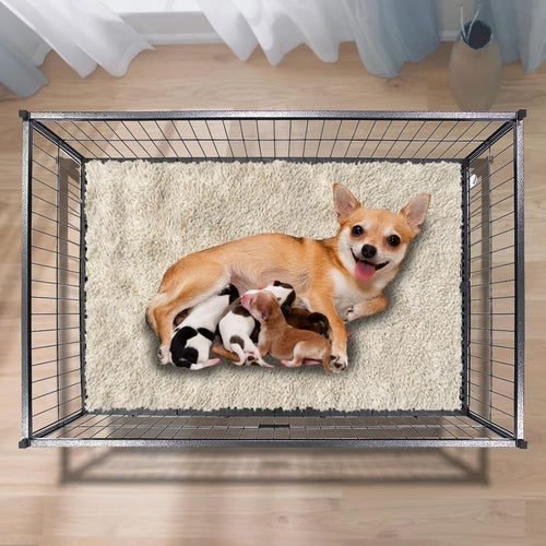 43 Metal Dog Whelping Box WHLP01