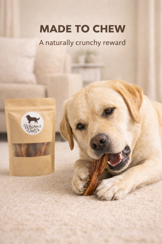 Duck Feet for Dogs | Natural Chew | Whisker & Tail Co.