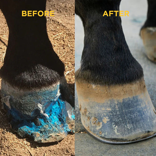 Vetericyn Hoof Care Horse Thrush White Line Seedy Toe Deep Penetrating Treatment 8 oz.