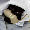 Natural Hemp Mouse Cat Toy - Eco-Mouser