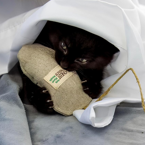 Natural Hemp Mouse Cat Toy - Eco-Mouser