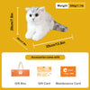 British Shorthair Cat – Realistic Plush for Women