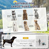 2-in-1 Dog Bike Trailer Pet Stroller Carrier for Large Dogs
