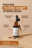 Mushroom Energy & Cognition Drops