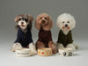 GLACIER PET SWEATER - OLIVE GREEN